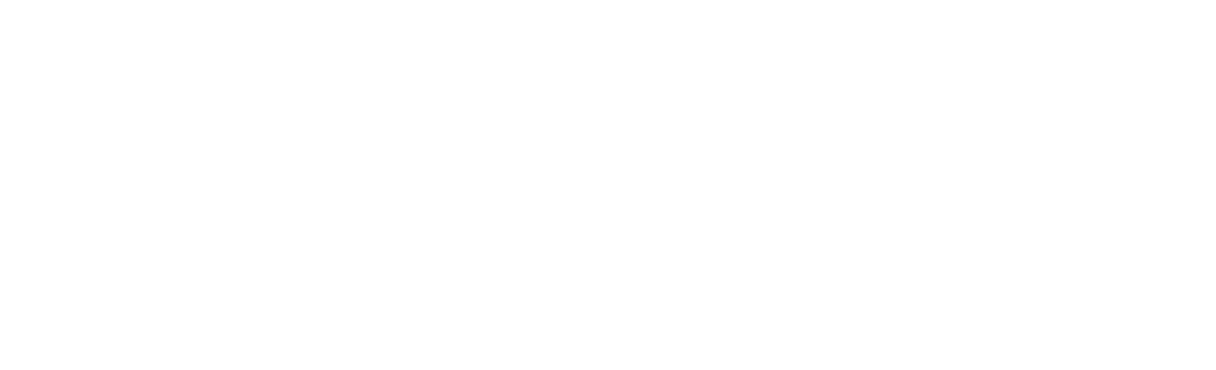 logo-steuerberatung-nico-boy-white-1