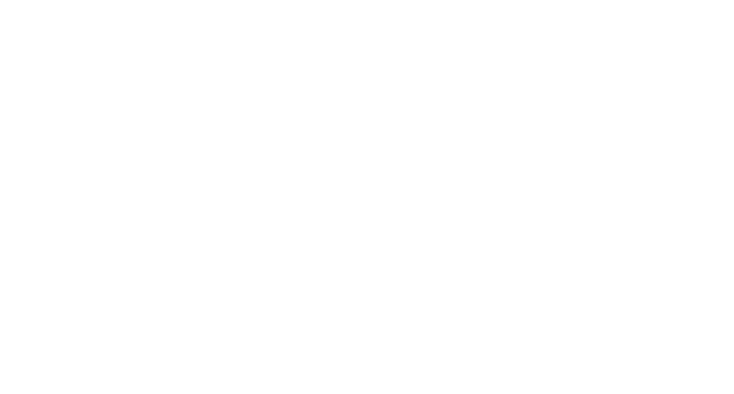 thomann-nutzfahrzeuge_logo-white-1
